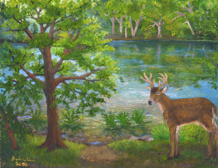 By the Water&#39;s Edge